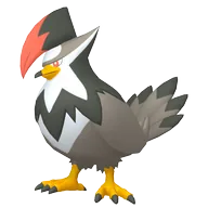 Staraptor