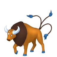 Tauros-Paldea-Aqua